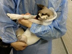 -安安宠医·安宠宠物医院