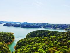 -酒仙湖景区