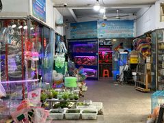 -双季花艺园艺市场(浦东店)