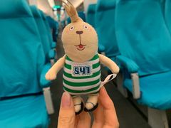 -龙阳路磁悬浮列车总站-停车场