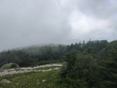 -白草畔自然风景区