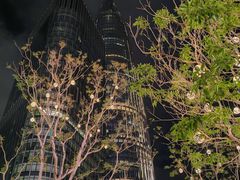 -深圳湾万象城(南山店)