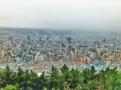 -兰山公园