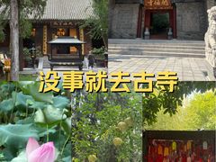 -罔极寺