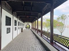 -无锡蠡湖国家湿地公园-蠡园