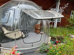 -临江米莉莎饭店