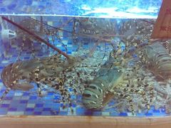 android_upload_pic-渔家海鲜舫(宝湖路店)