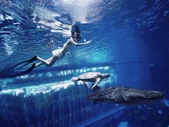 -成都浩海立方海洋公园