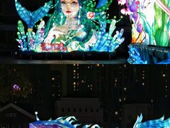 -海合安成都极地海洋公园