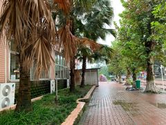 -四川大学(望江校区)
