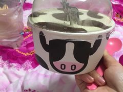 -蜜津私房蛋糕(缤纷亚洲店)