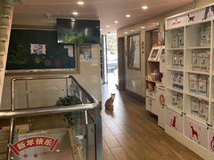 -爱侣·安琦尔宠物医院·中兽医针灸·心内科·狂犬免疫点(宝山区院)