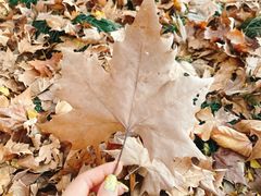 -江墅铁路遗址公园