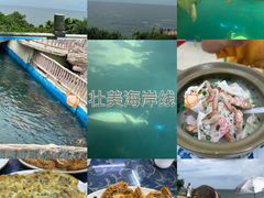-广东惠东海龟国家级自然保护区