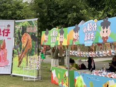 -广西壮族自治区药用植物园