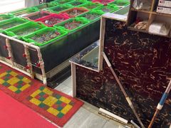 -众味海鲜大排档·活海鲜·潮汕味(南澳店)