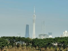 -海珠湖公园