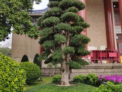 -广州中山纪念堂