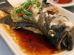 清蒸老虎斑-勝記酒家·37年老字号·经典粤菜(荔枝公园店)