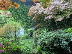 -中国茶叶博物馆(双峰馆区)
