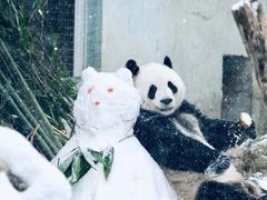 -北京动物园