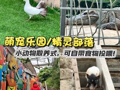 -呀路古热带植物园