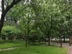 -中央民族大学