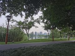 -眉山湿地公园(东坡区)