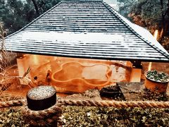 -天目湖涵田半山温泉