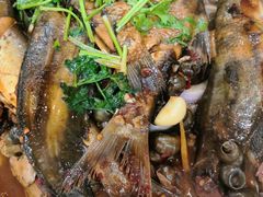 -溱湖八鲜菜馆