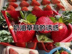 -石家庄万象城