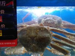 -船梆煮•蒸汽海鲜·炉火烤肉(五四广场店)