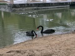 -南京医科大学(江宁校区)