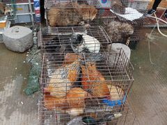 -永汉农贸综合市场