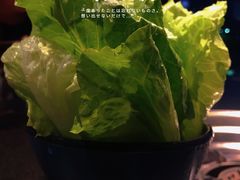 -渝涯重庆豆花老火锅(中赢国际店)