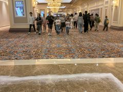 -澳门威尼斯人综合度假区