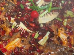 -老板恋上鱼(恒隆广场店)