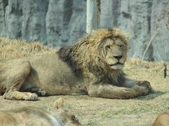 -北京野生动物园