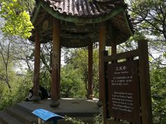 -巢湖姥山岛