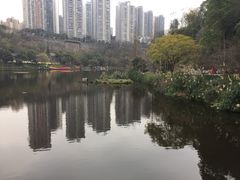 -重庆彩云湖湿地公园