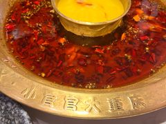 美蛙火锅-哥老官重庆美蛙鱼头(宝山龙湖店)