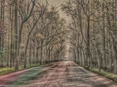 -上海海湾国家森林公园