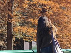 -南京市无想山景区