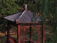 -广富林郊野公园