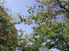 -西南民族大学南区(双流校区)