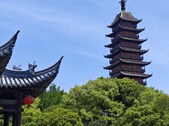 -天天鲜面馆(衡山路店)