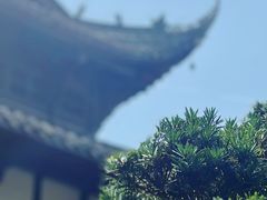 -宝光寺