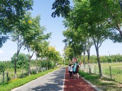 -上海长兴岛郊野公园