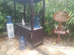 -三亚珠江南田温泉度假区