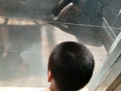 -石家庄市动物园